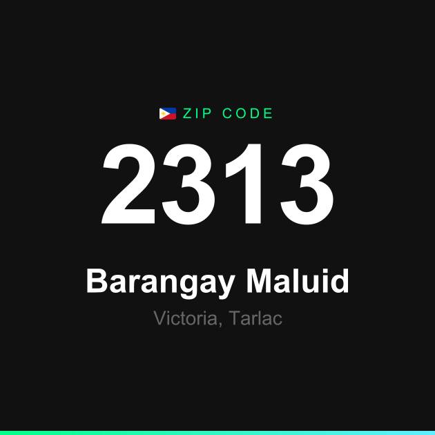 Shareable ZIP code 2313 card for Barangay Maluid
